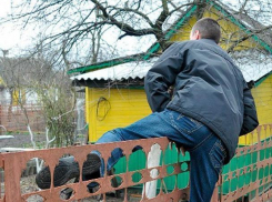 В Волжском поймали дачного вора в СНТ «Агава»