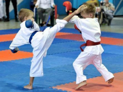 Волжские каратисты привезли домой 8 медалей первенства по каратэ WKF