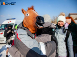  И кони захотят согреться: прогноз погоды на среду в Волжском