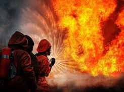 В Волгограде при пожаре обрушилась «Городищенская птицефабрика»