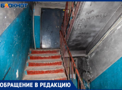 «Мы с тараканами ничего не можем сделать?»: волжанка бьет тревогу из-за нашествия насекомых и бездействия УК