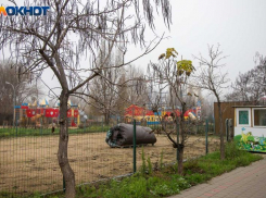 Солнечные лучи порадуют волжан в субботу: прогноз