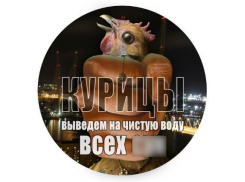 Волгоградские «курицы» и «петушки» добились закрытия скандальных сообществ