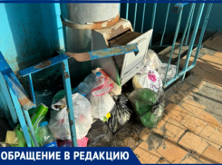«Скоро не то что тараканы и крысы появятся»: волжане повторно пытаются добиться от УК качественной уборки подъезда 