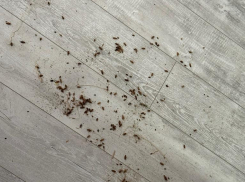 Волжане считают, что социальные службы должны вмешаться в ситуацию с одинокой бабушкой