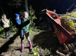 Женщина с ребенком встала на пути бульдозера, уничтожающего дубравы Волго-Ахтубинской поймы