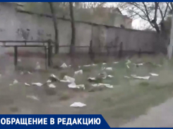 «Пусть будет стыдно!»: волжанин жалуется на разносчика газет