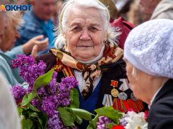 Волжский останется без шествия «Бессмертного полка» на 9 мая: причины