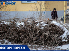 4 депутата и «Лада Дом» превратили дворы Волжского в свалки