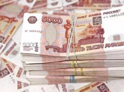 На отлов бродячих собак в Волжском не хватает еще 2,5 миллиона рублей