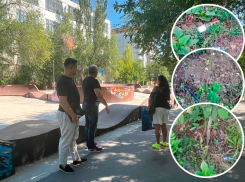 Один сквер — два взгляда: волжане раскритиковали любимый сквер «Единой России»