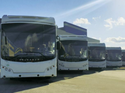 Завод «Волгабас» прокомментировал налоговую проверку компании