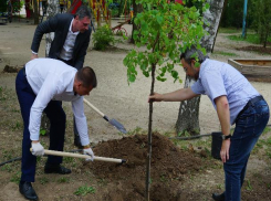 Волжские предприниматели засадили новую липовую аллею в парке 