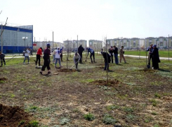 В Волжской стартует месячник по благоустройству 