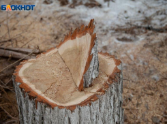 Волжан приглашают спасти планету