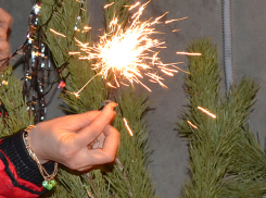 Где откроются елочные базары и ярмарки рассказали власти Волжского 