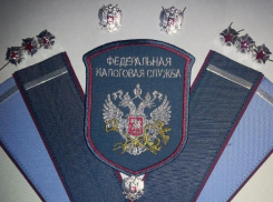 За взятку в двести пятьдесят тысяч рублей главного налогового инспектора взяли под стражу