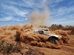 Под Волгоградом автомобили будут покорять бездорожье