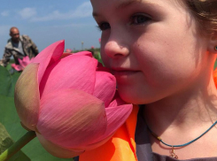 Мы едем в долину Лотосов! Присоединяйтесь!