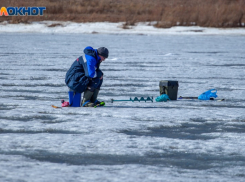 Тело утонувшего на рыбалке волжанина нашли на берегу Гнилого 