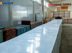 Скандальный ветеринарный пункт уже выдал распоряжения об увольнении сотрудников в Волжском