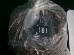 В колонию под Волгоградом пытались передать флешку в пакете с семечками