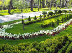 В новой части города за шестнадцать миллионов обновят улицу