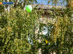 Победителем регионального этапа Всероссийского конкурса сочинений стала волжская семиклассница