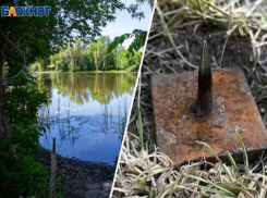 Страшные «вьетнамские ловушки» на озере лотосов под Волжским оказались фейком