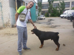 Мать жестоко убитого 29-летнего волжанина боится, что родственник депутата не понесет должного наказания