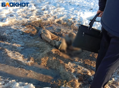 Труп мужчины с оторванной ногой нашли на улице в Волжском 18+