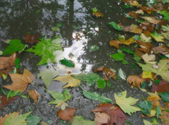 Выходные волжане проведут под дождем