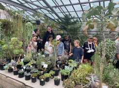 Волжский ботанический сад организовал «Экологическую продленку»