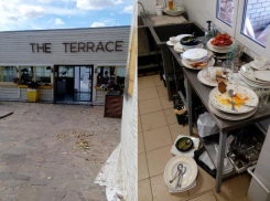 THE TERRACE - животные и антисанитария, - волжанка