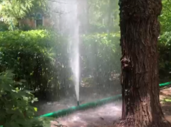 «Инновационную» систему полива используют в Волжском: видео