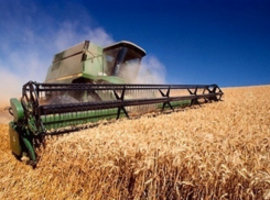 В Волгоградской области собрали почти весь урожай