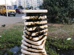 «Отвратительное состояние», - волжанка о питьевом фонтане