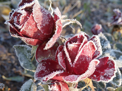 До минусовых отметок впервые опустилась температура в Волжском 