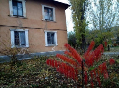 Десять градусов тепла спрогнозировали в Волжском в день Космы и Дамиана