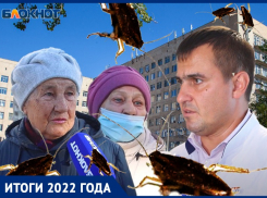 Отсутствие талонов, огромные очереди и массовые ремонты: чем запомнилась медицина-2022 в Волжском