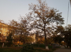 Четверг принесет в Волжский резкое похолодание