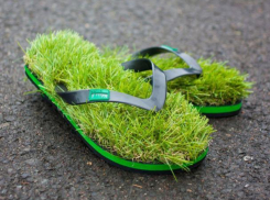 В среду даже утро будет жарким