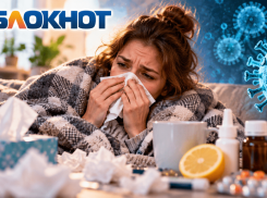 Заболеваемость ниже эпидпорога на 27%: какие вирусы сейчас распространяются в Волгоградской области