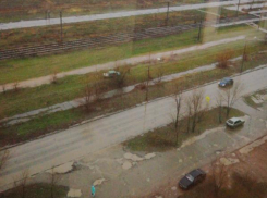 Школьница с собакой попала под машину на «зебре» в Волжском