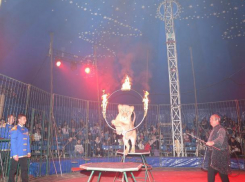 Такого вы еще не видели: в Волжский привезли цирк нового поколения «Империал»