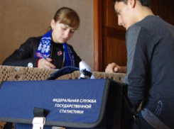 В Волжском всех перепишут 