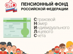 Упростили жизнь родителей: узнать СНИЛС новорожденного можно без посещения Волжского ПФР