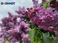 Сильный дождь и облака накроют Волжский: прогноз погоды на понедельник