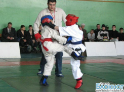 У волжских рукопашников 24 медали регионального первенства