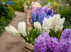 Волжан ждет короткая рабочая неделя